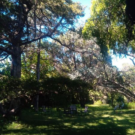 Cabana En Quinta La Aurora Mina Clavero Kültér fotó