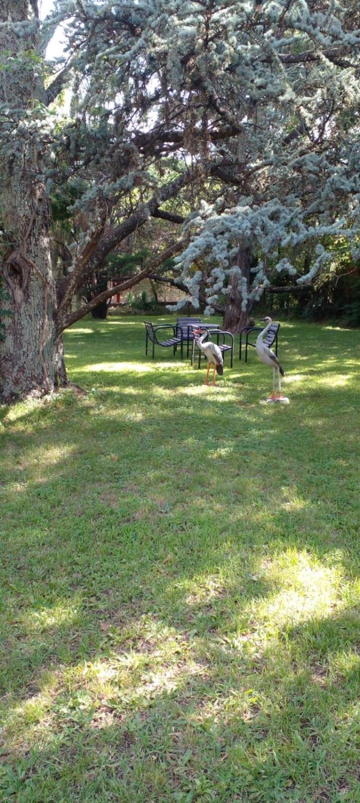 Cabana En Quinta La Aurora Mina Clavero Kültér fotó