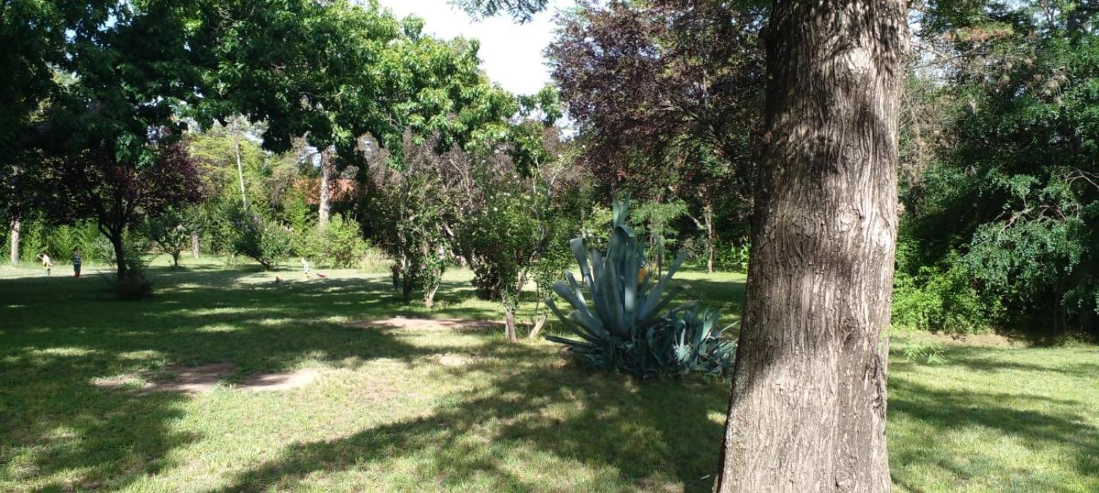 Cabana En Quinta La Aurora Mina Clavero Kültér fotó